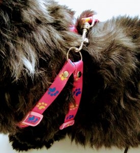Acessórios para cães e gatos - fabricação propria